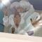 The Titan’s Bride (Kyojinzoku no Hanayome) Episode 03 UNCEN_7